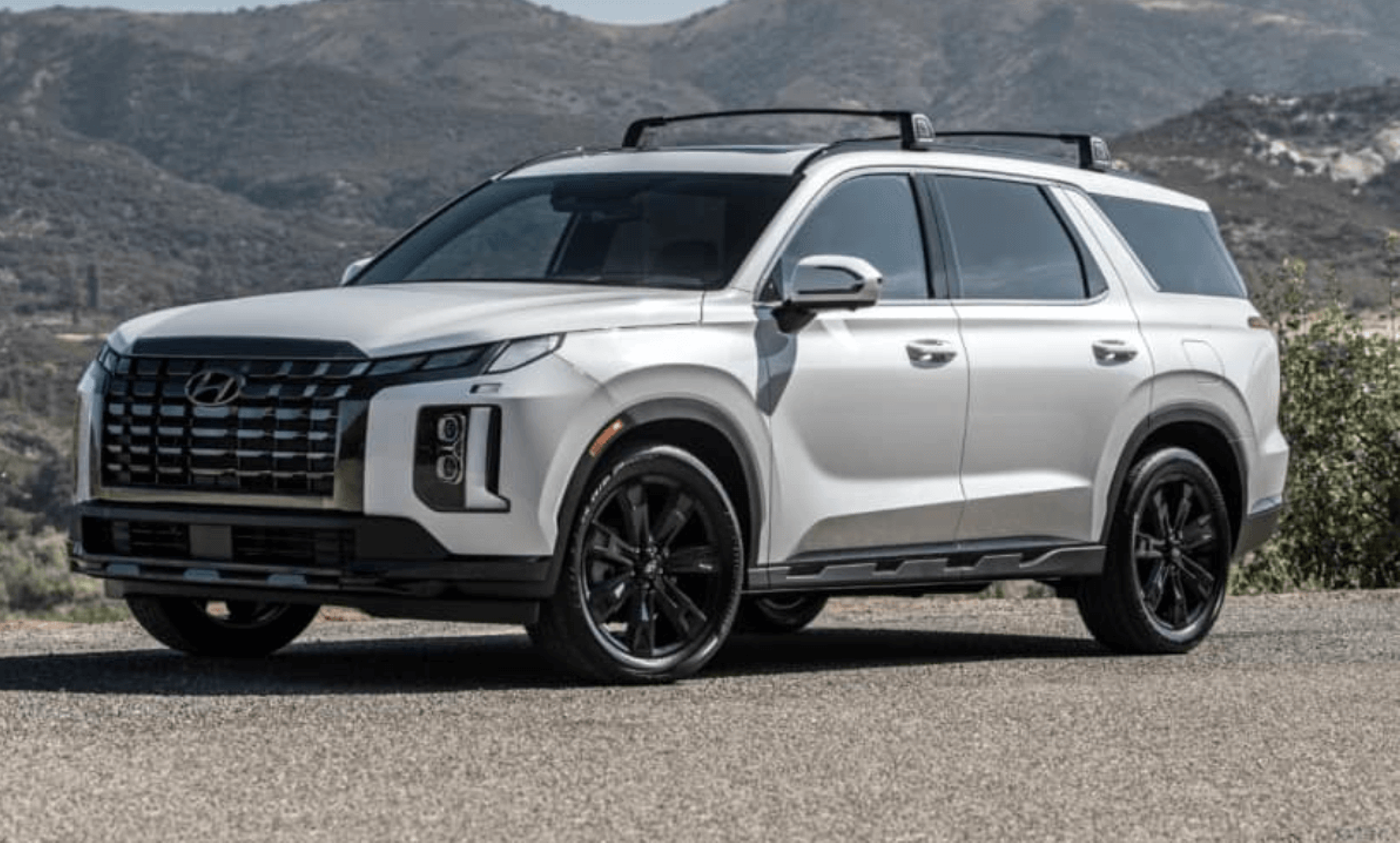 Hyundai Palisade rental